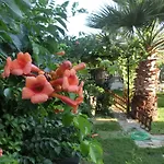 לינה וארוחת בוקר Ada 2*