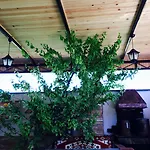 Ada 2*