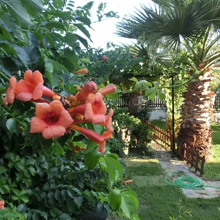 فندق مبيت وإفطار Ada 2*