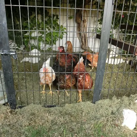 Ada فندق مبيت وإفطار