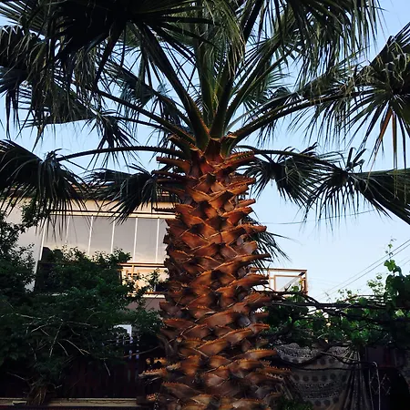 فندق مبيت وإفطار Ada 2*