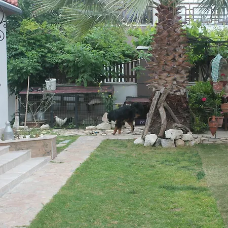Ada فندق مبيت وإفطار 2*