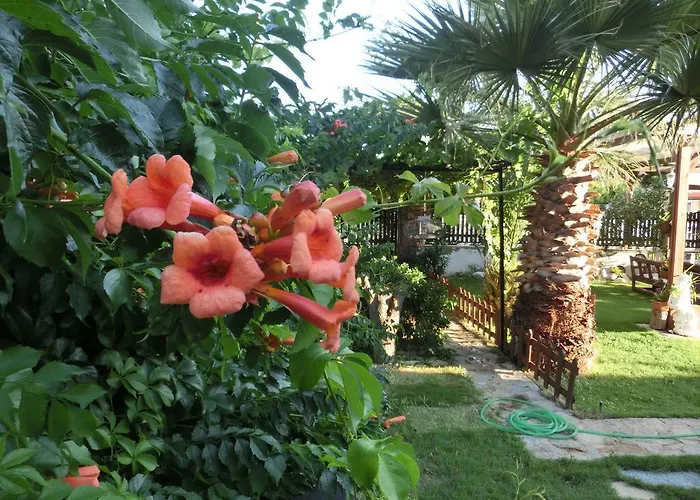 Bed & Breakfast Ada 2*