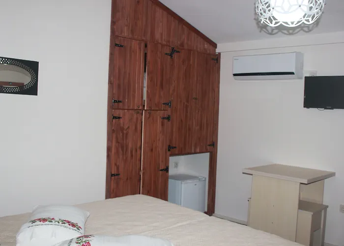 住宿加早餐酒店 Ada