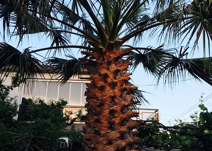 Bed & Breakfast Ada 2*