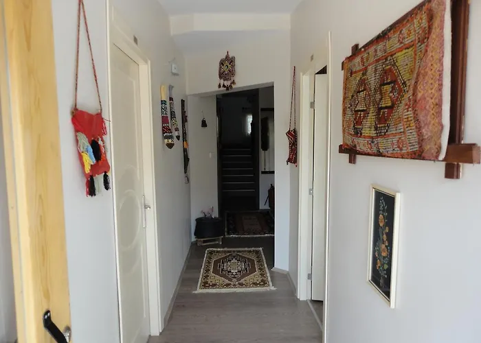 Ada 住宿加早餐酒店 2*