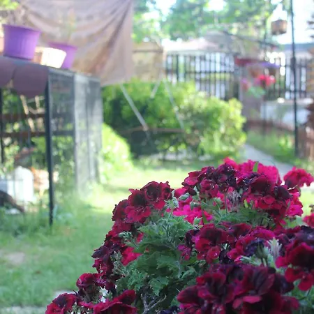 Bed & Breakfast Ada 2*