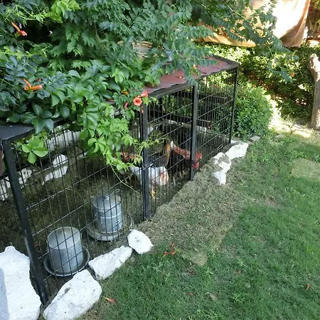 Ada Bed & Breakfast