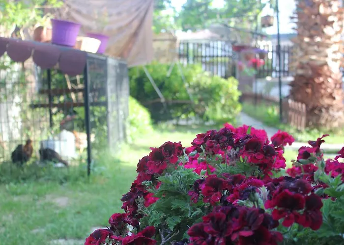 Alojamento de Acomodação e Pequeno-almoço Ada 2*